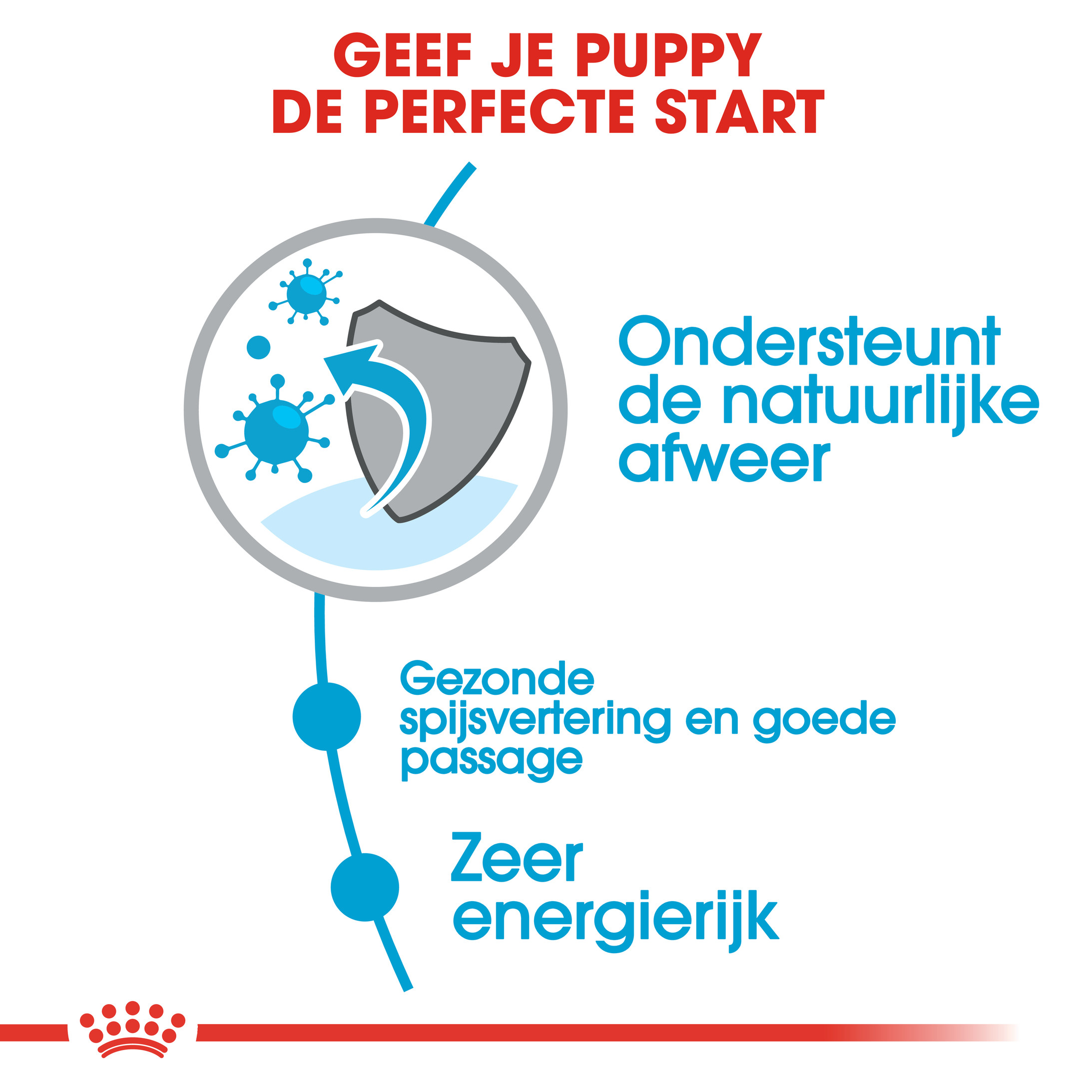 Royal Canin Mini X-Small Junior voor de hond