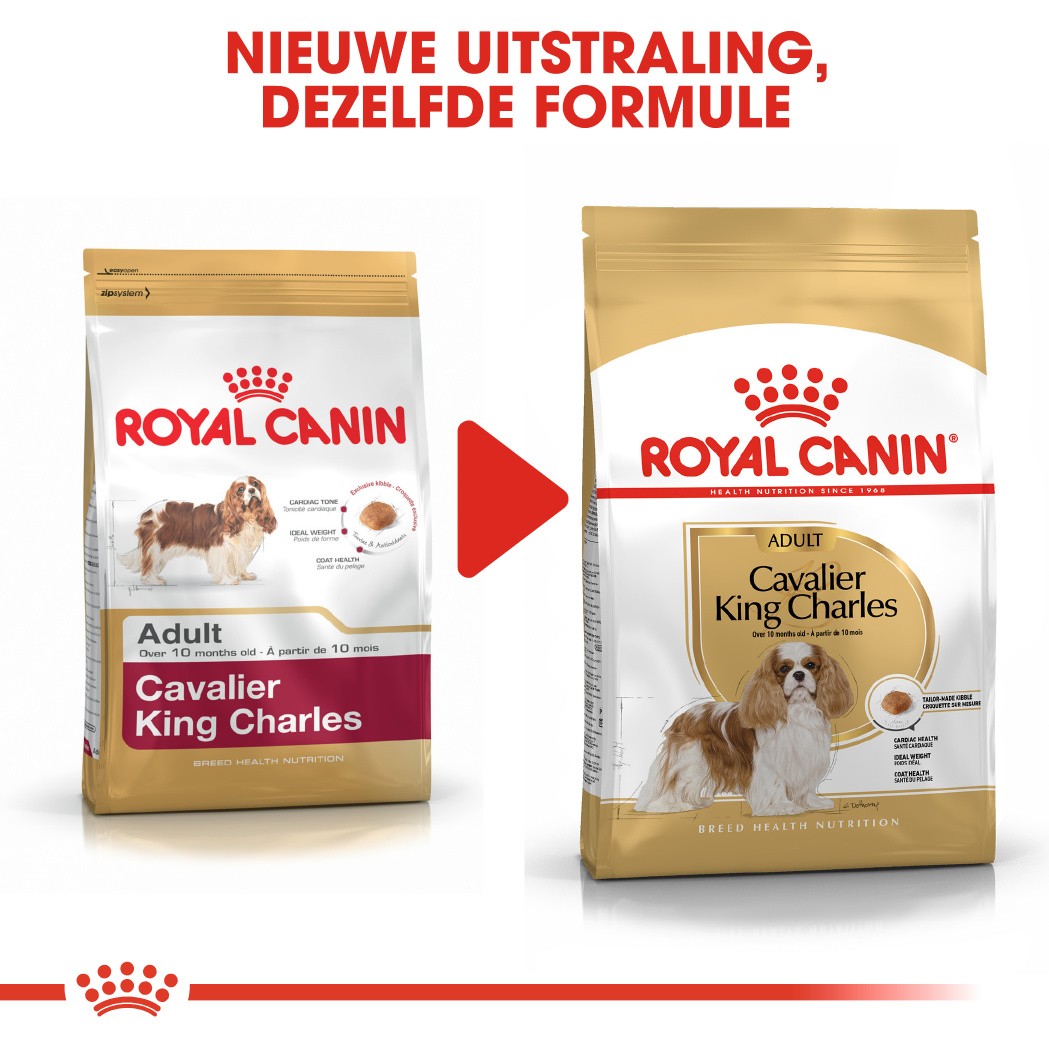 Royal Canin Adult Cavalier King Charles hondenvoer