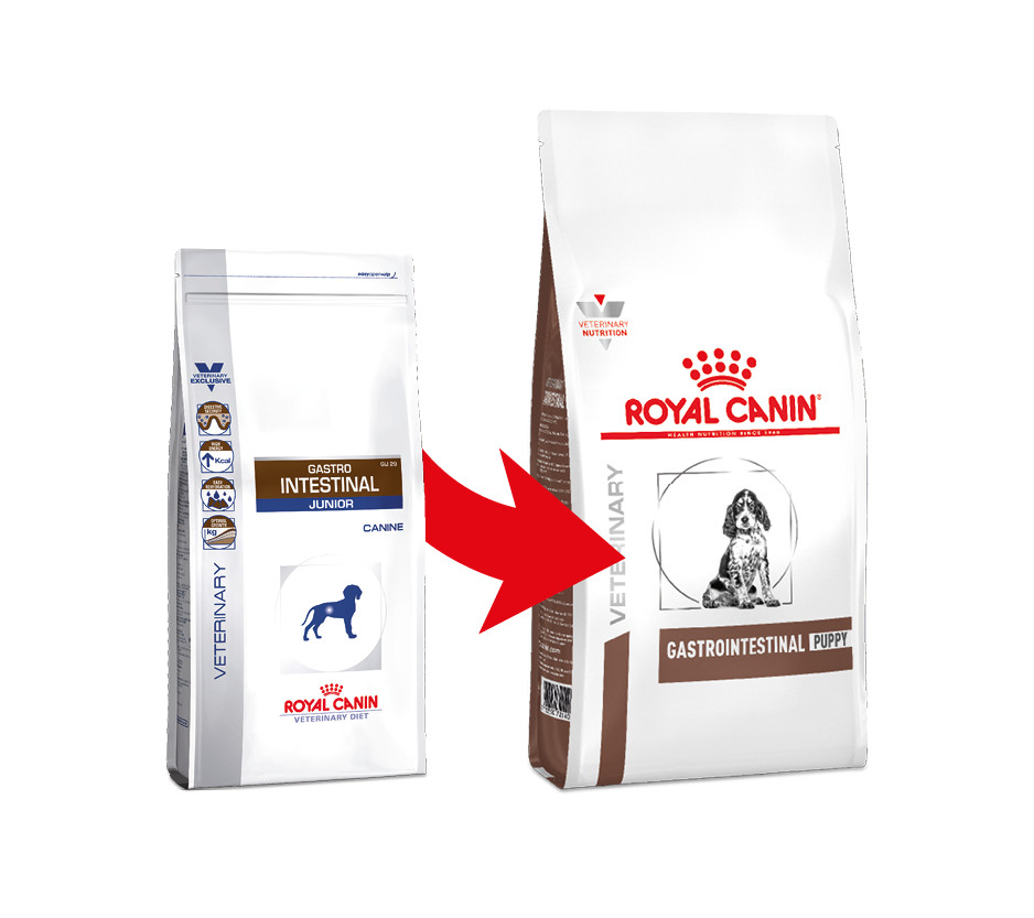 Royal Canin Gastro Intestinal Junior Hondenvoer