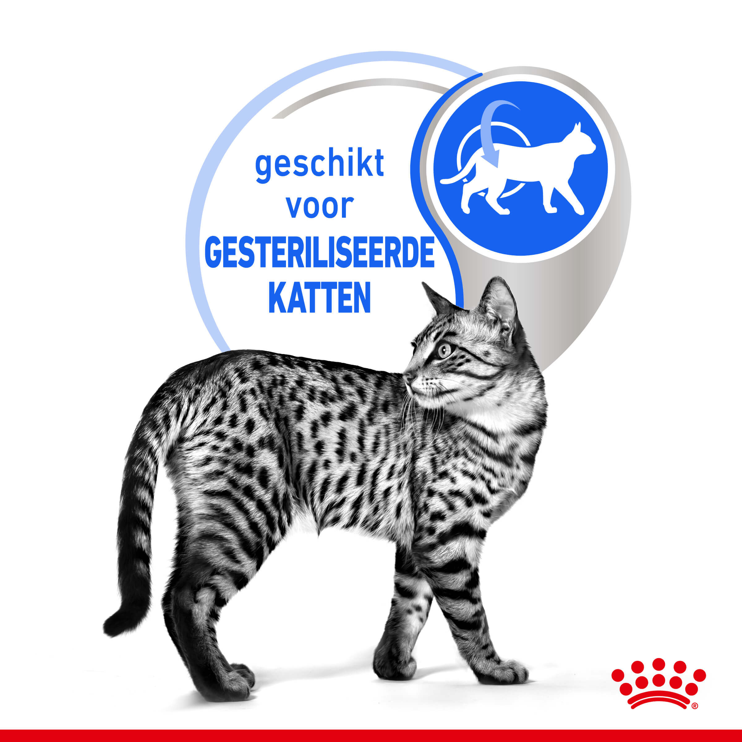 Royal Canin Indoor Sterilised in Gravy kattenvoer x12