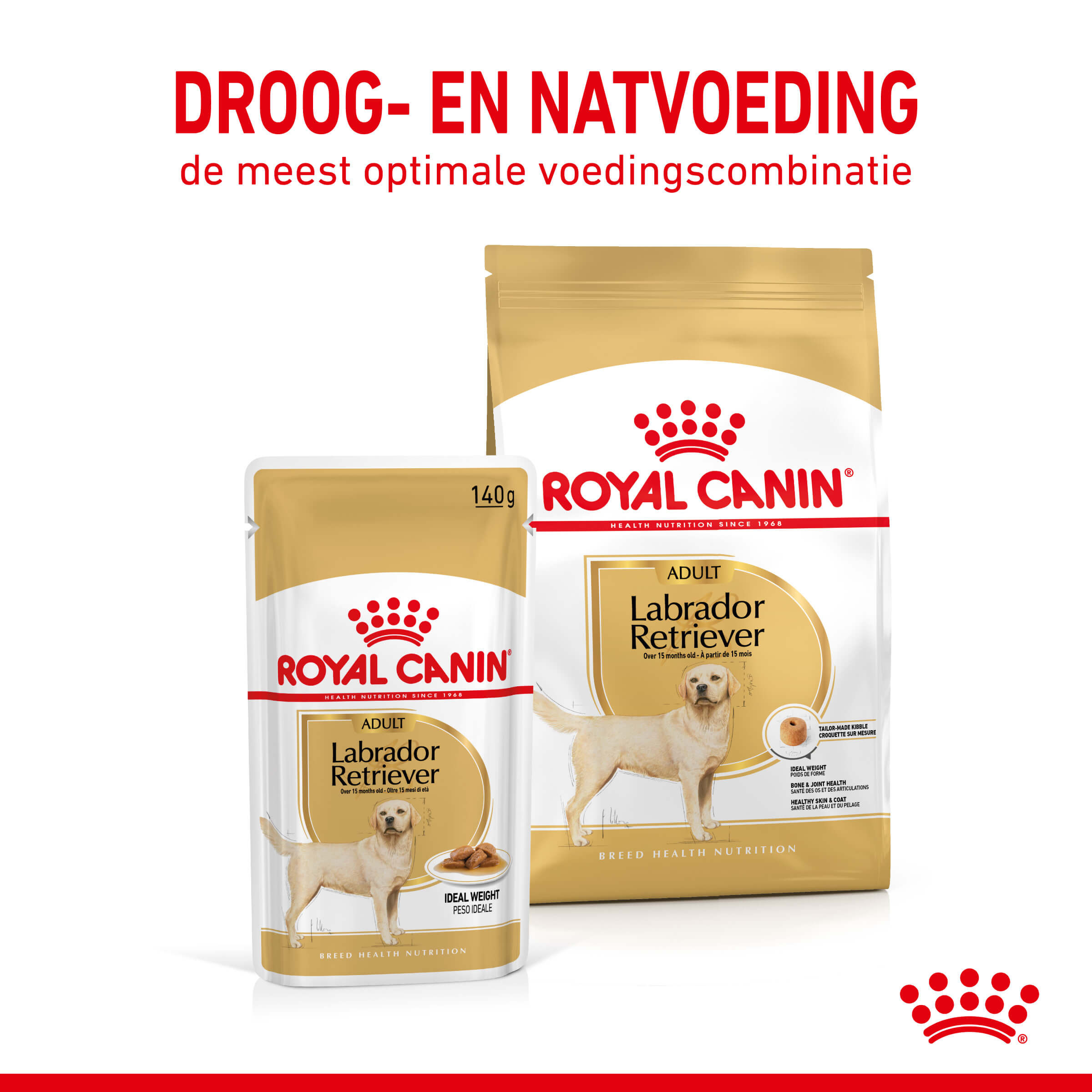 Royal Canin Adult Labrador Retriever natvoer