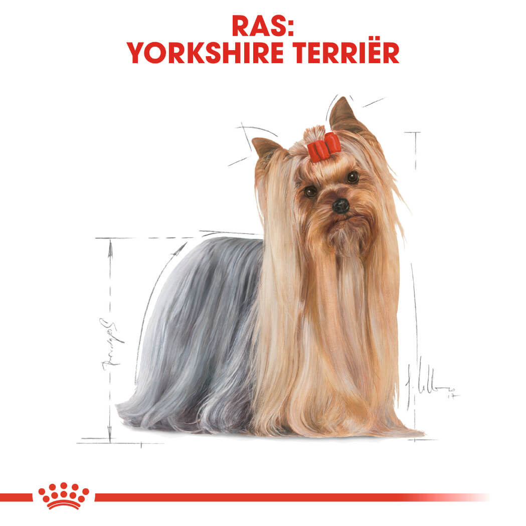 Royal Canin Adult Yorkshire Terriër hondenvoer