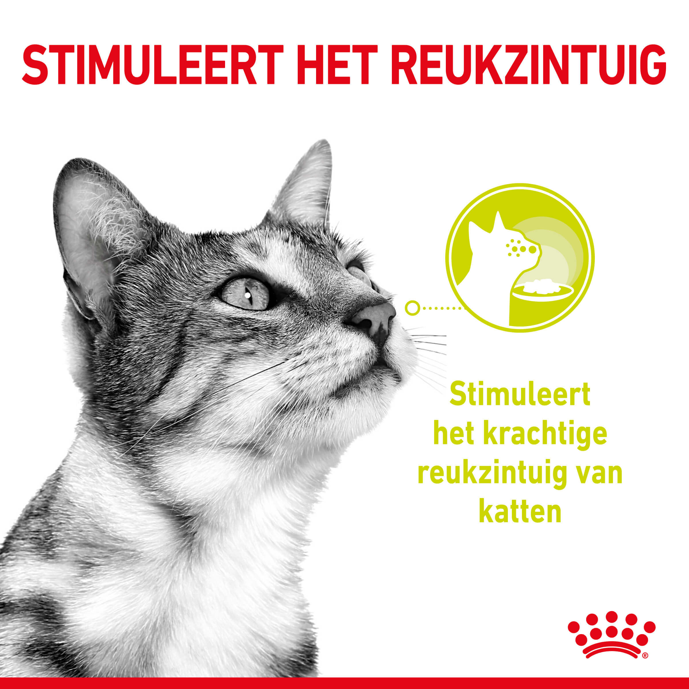 Royal Canin Sensory multipack Smell kattenvoer