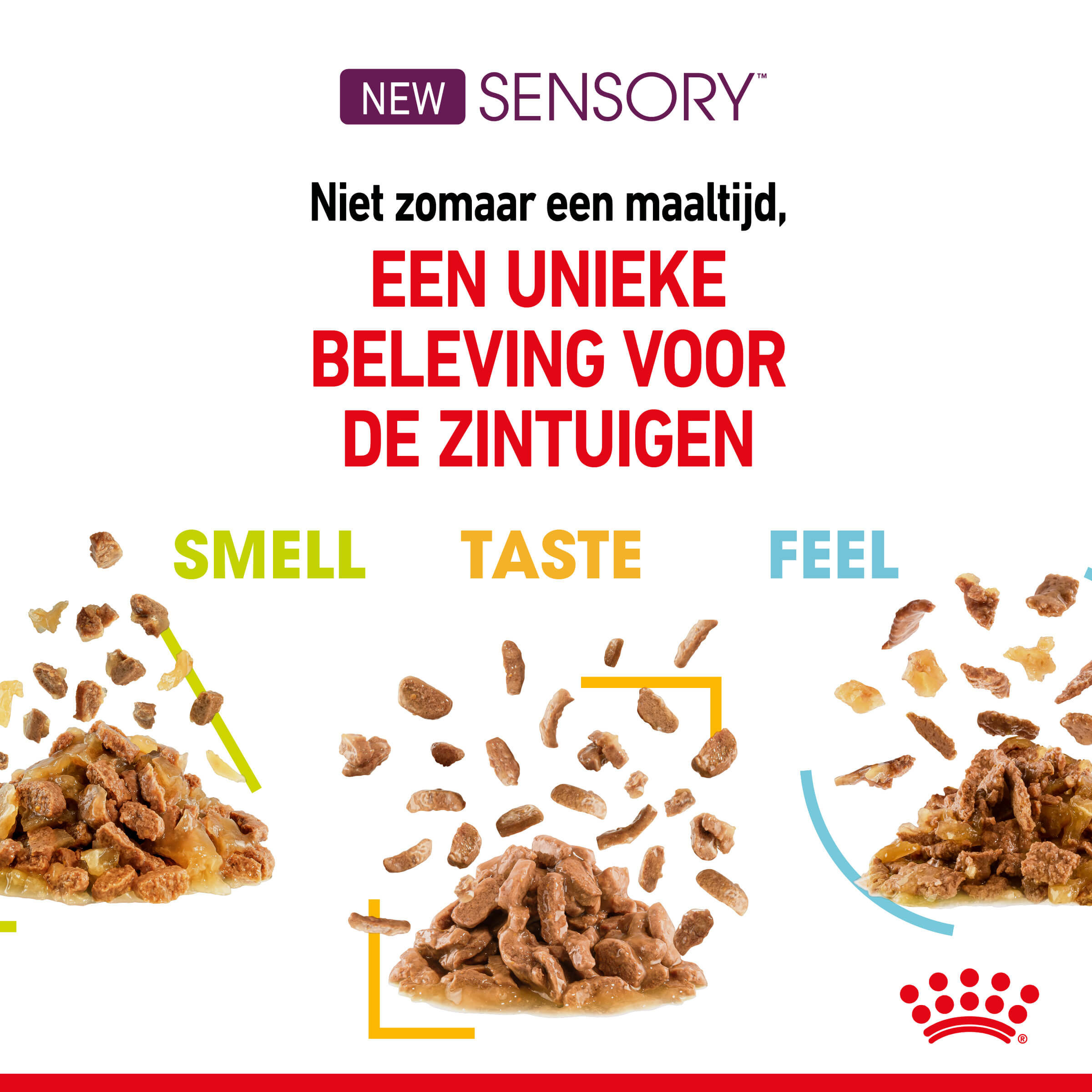 Royal Canin Sensory Taste kattenvoer