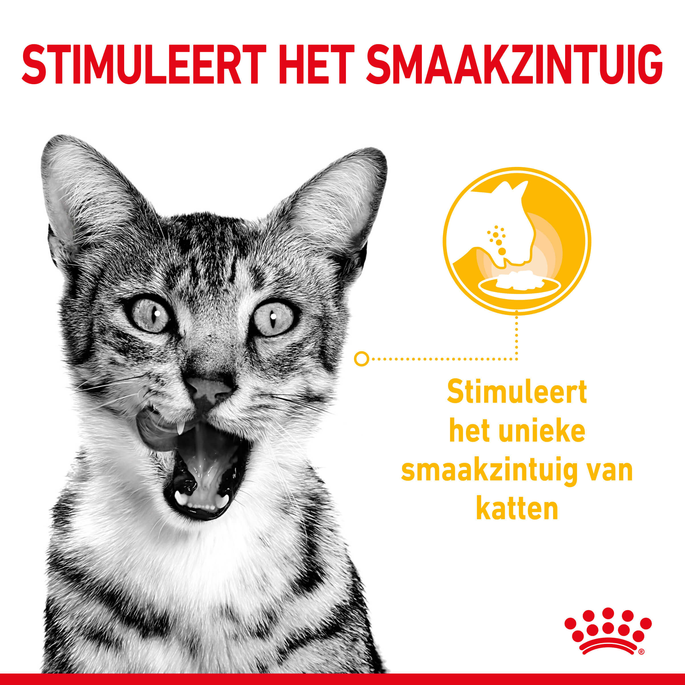 Royal Canin Sensory Taste kattenvoer