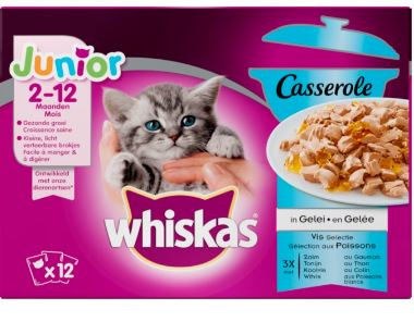 Whiskas Casserole Junior Vis Selectie in Gelei 12 x 85 gram