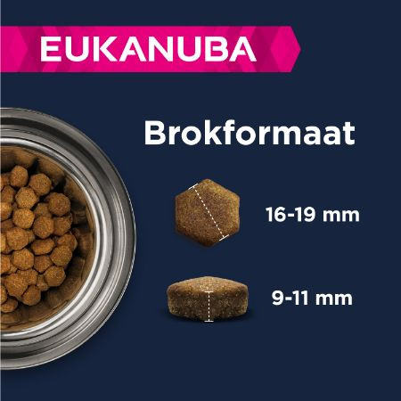 Eukanuba Adult L/XL graanvrij zeevis hondenvoer