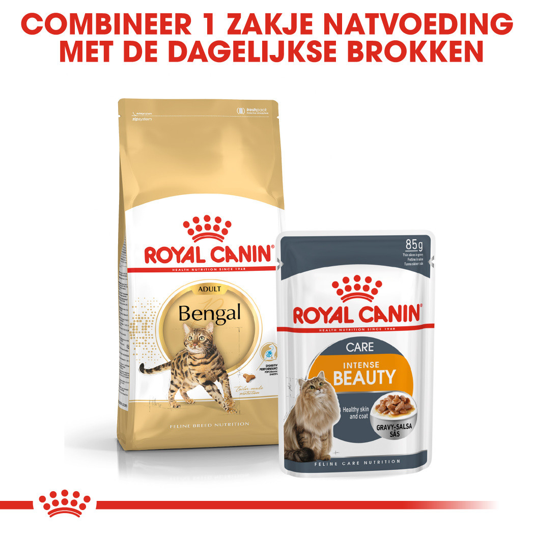 Royal Canin Adult Bengal kattenvoer