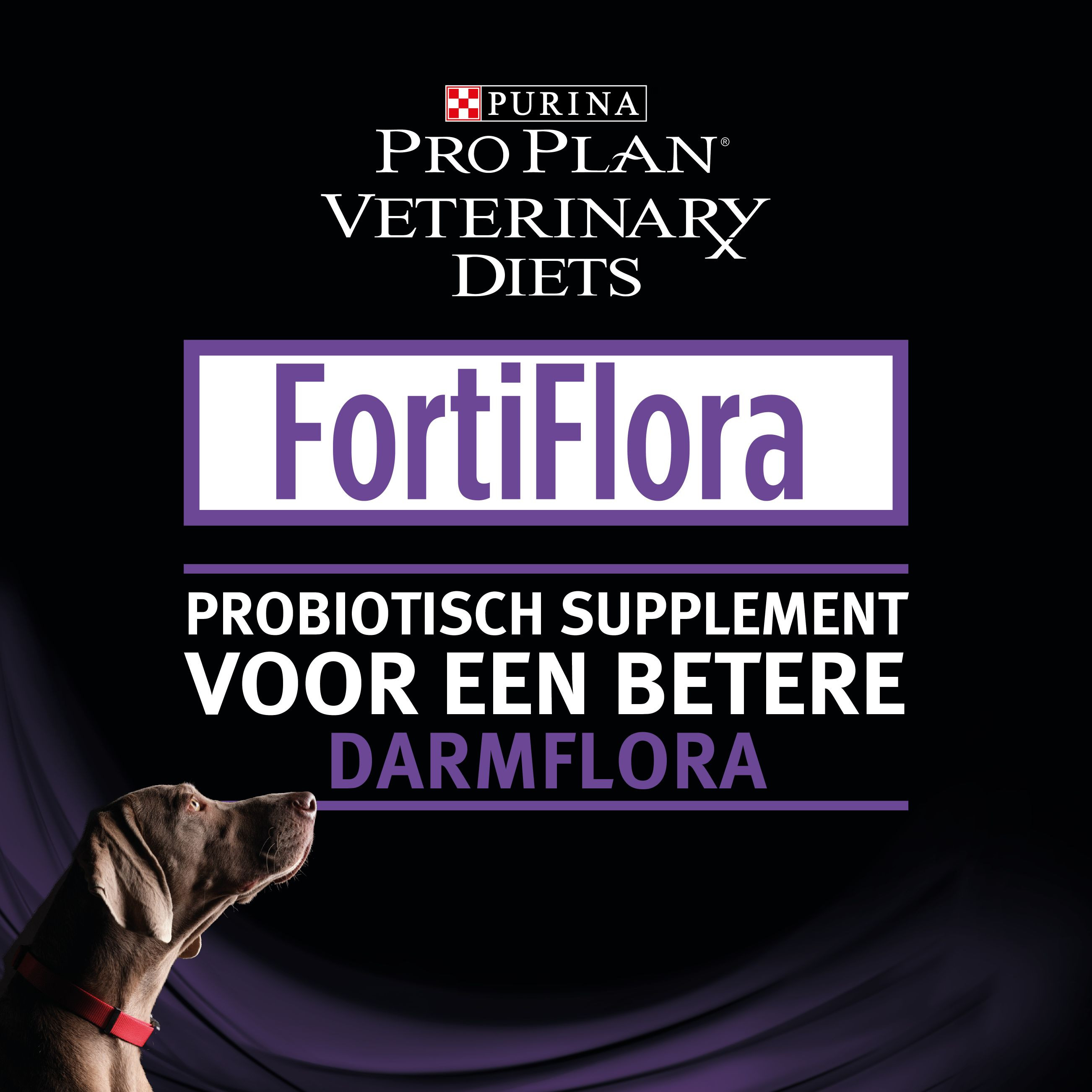 Purina Pro Plan FortiFlora Canine Probiotic supplement hond