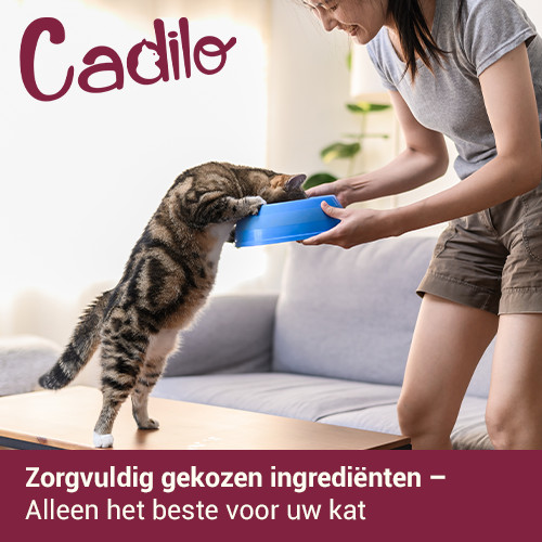 Cadilo Sensitive kattenvoer