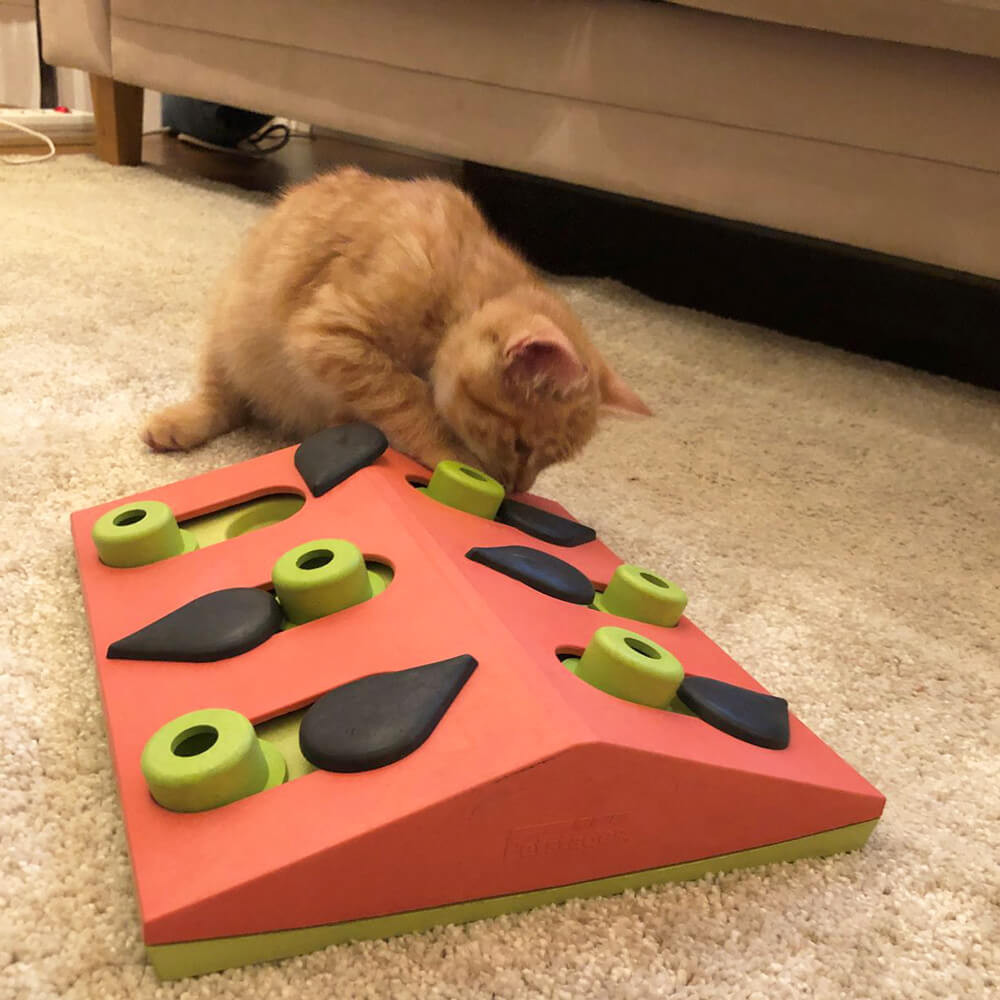 Nina Ottosson Puzzle & Play Melon Madness voor de kat