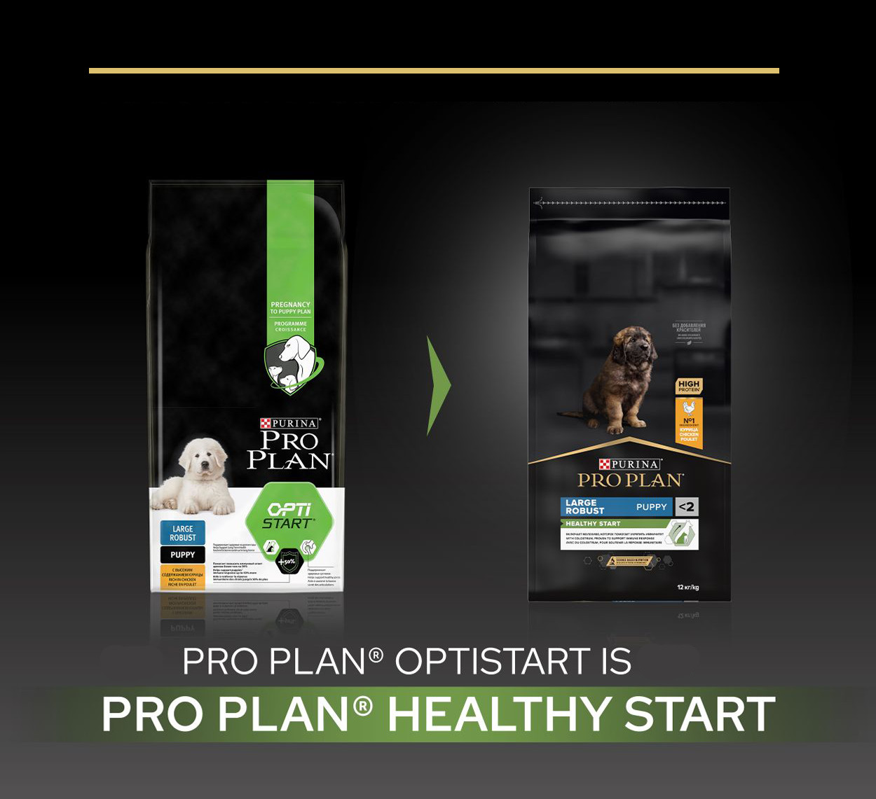 Pro Plan Large Robust Puppy Healthy Start met kip hondenvoer