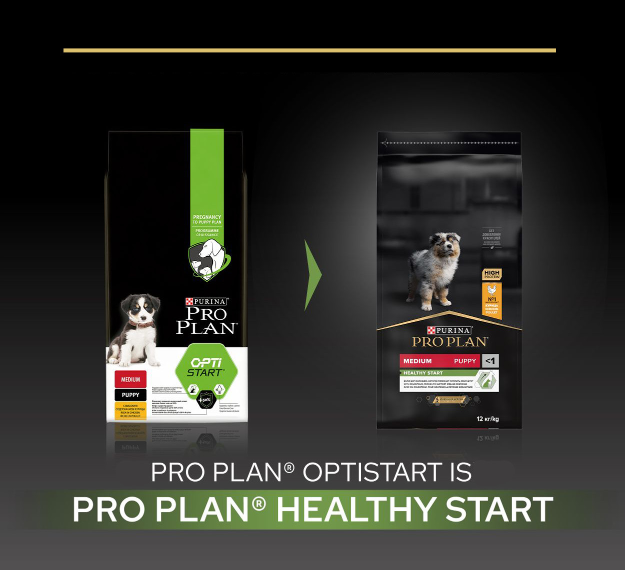 Pro Plan Medium Puppy Healthy Start met kip hondenvoer