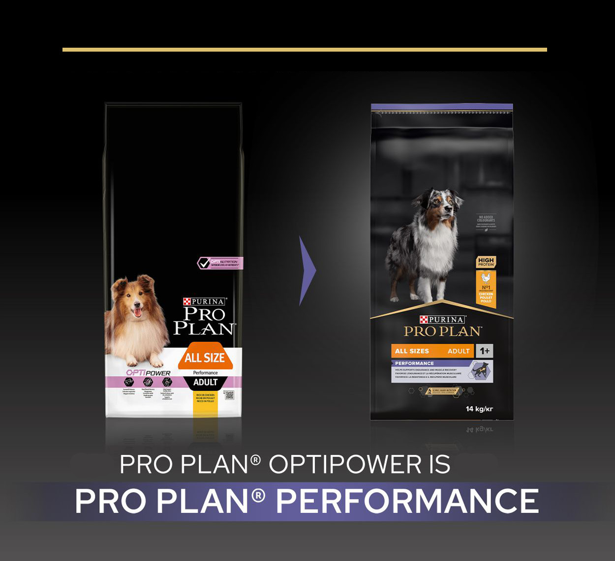 Pro Plan Adult Performance met kip hondenvoer