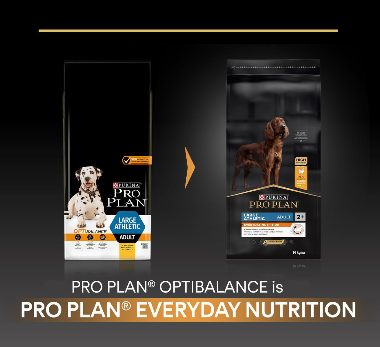 Pro Plan Large Athletic Adult Everyday Nutrition met kip