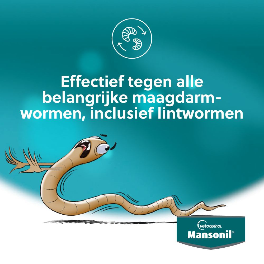 Mansonil All Worm Large Dog Flavour voor de hond