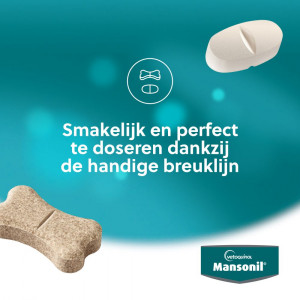 Mansonil All Worm Cat voor de kat