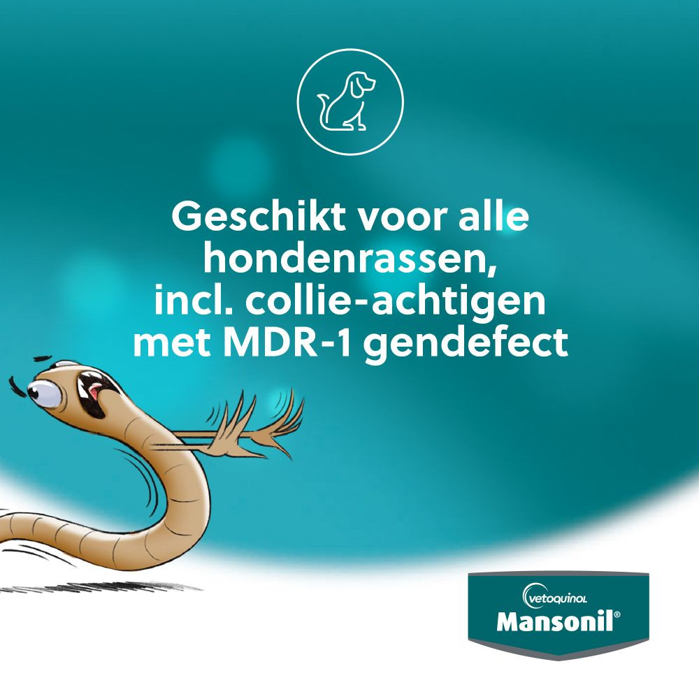 Mansonil All Worm Large Dog Flavour voor de hond