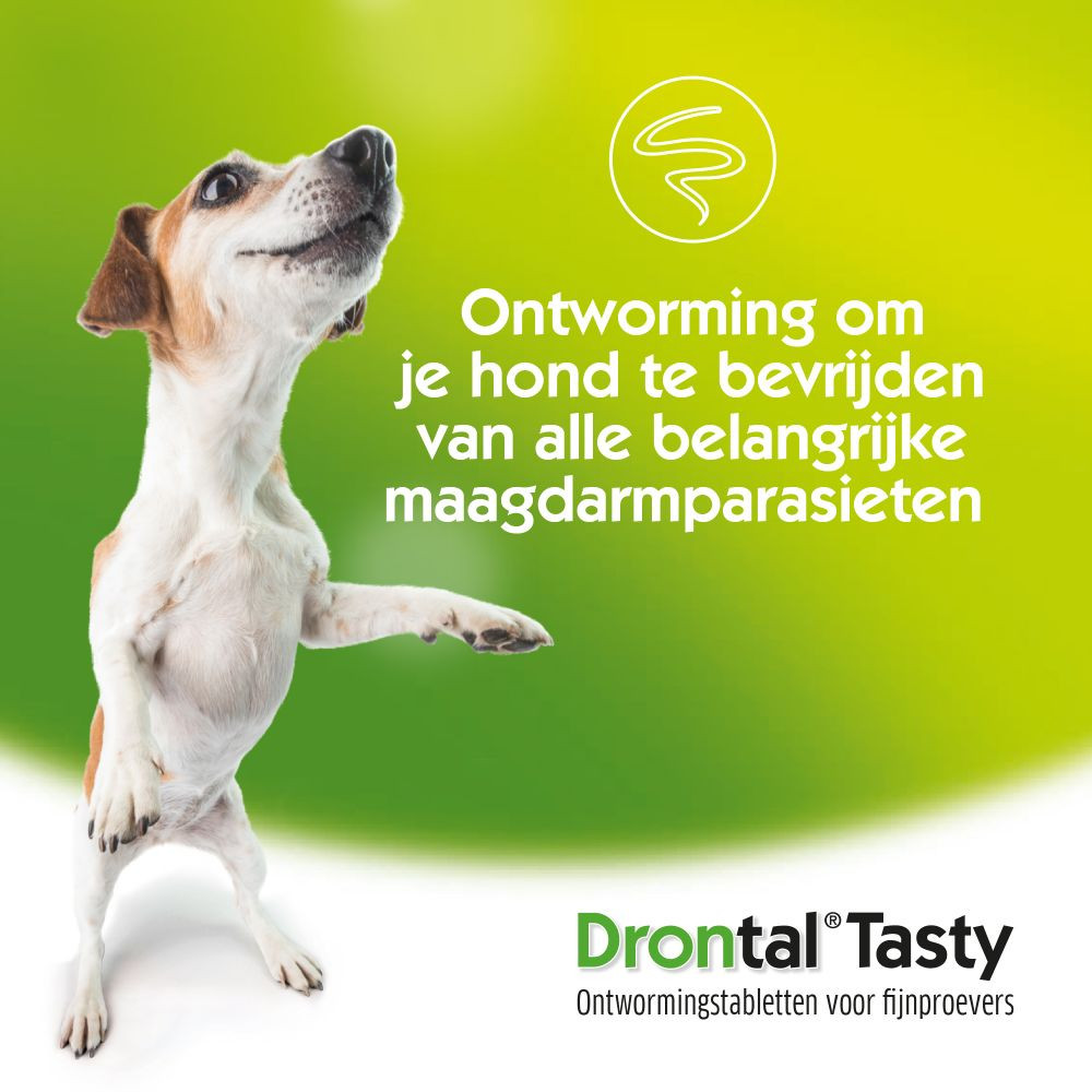 Drontal Dog Tasty Ontwormingsmiddel