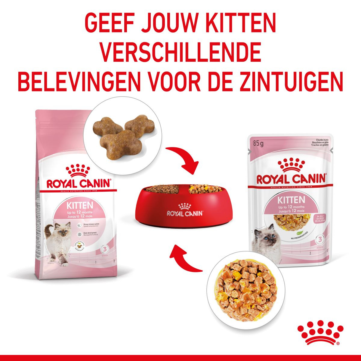 Royal Canin Kitten natvoer in jelly (85 g)