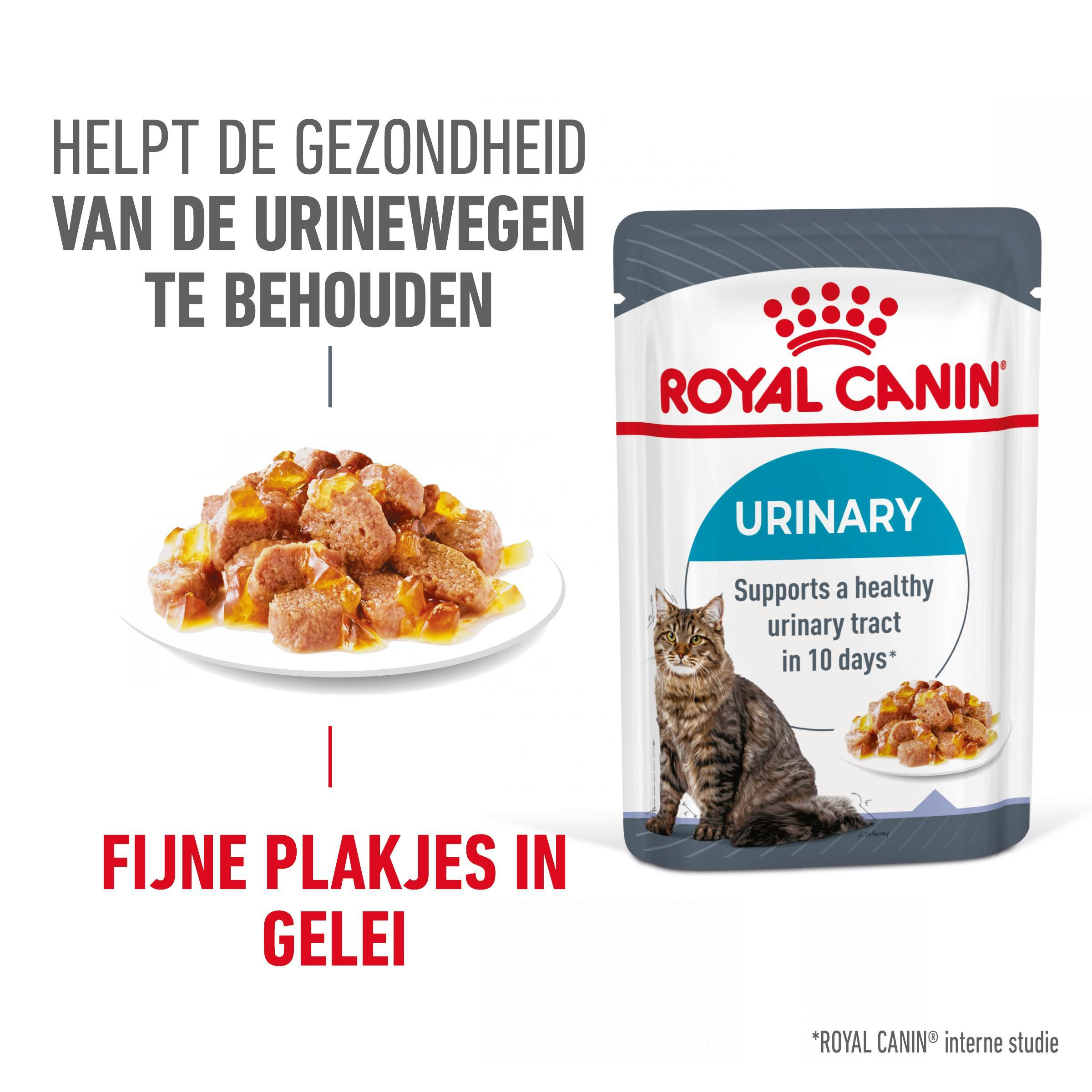 Royal Canin Urinary Care in gelei natvoer kat (85 g)