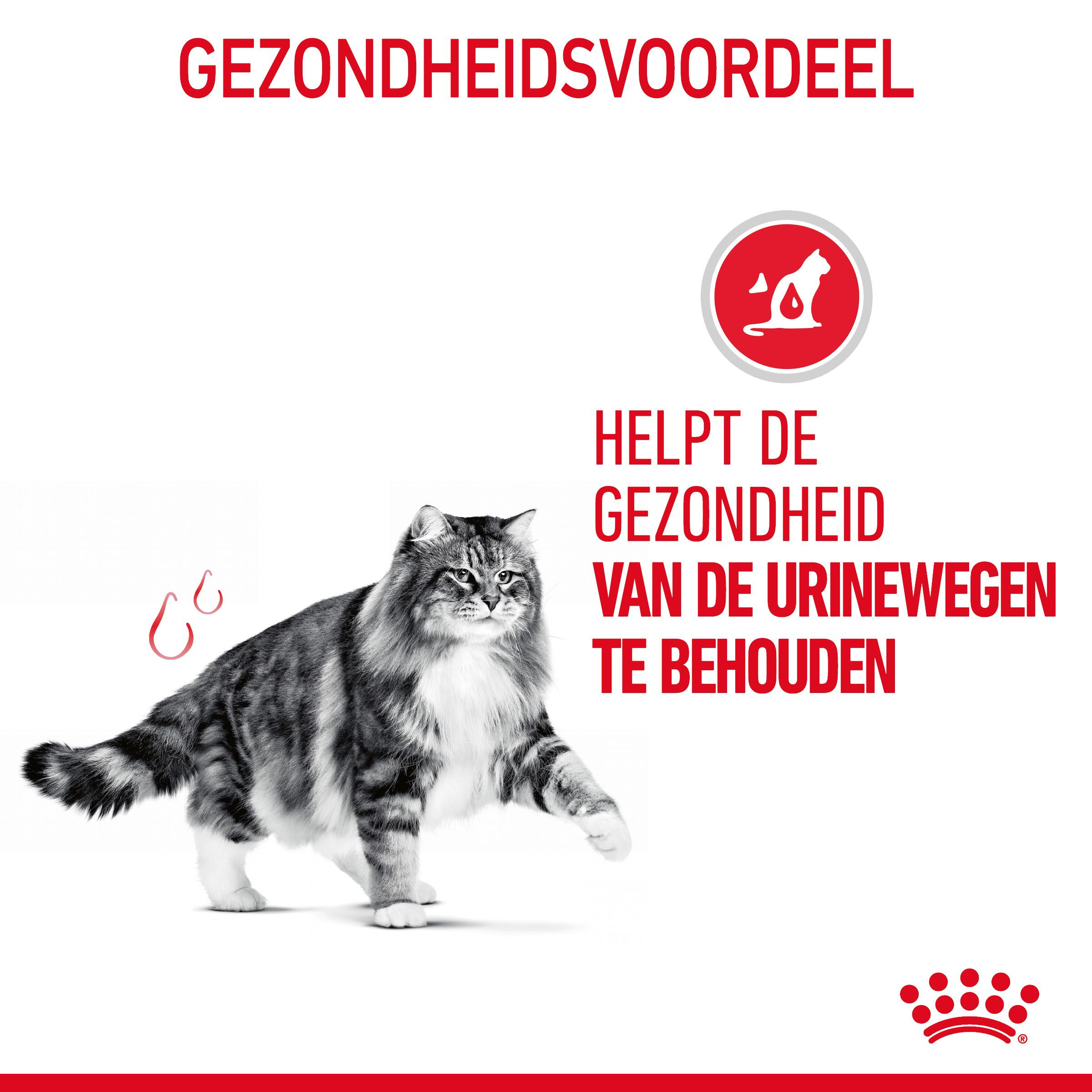 Royal Canin Urinary Care in gelei natvoer kat (85 g)