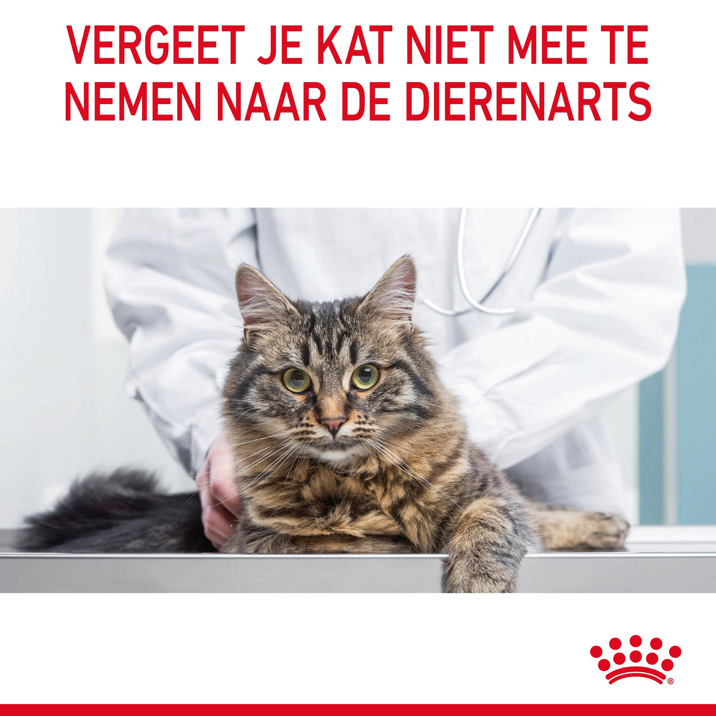 Royal Canin Urinary Care in gelei natvoer kat (85 g)