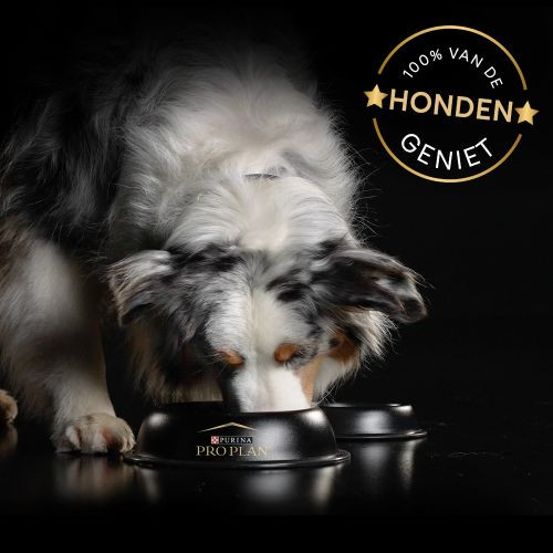 Purina Pro Plan Multivitamine voor honden (tabletten 67 g)