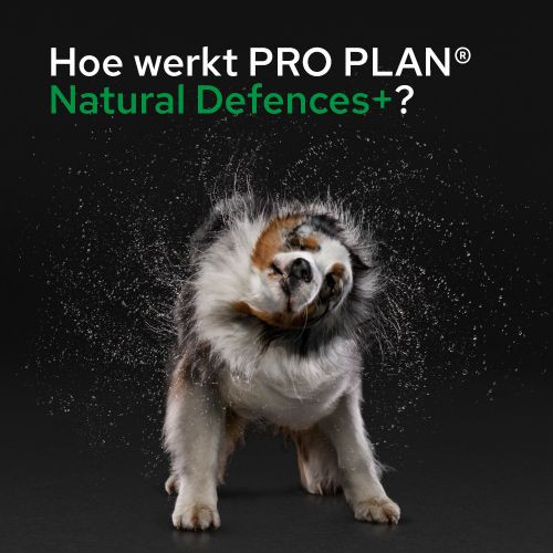 Purina Pro Plan Natural Defence supplement voor honden (tabletten 67 g)