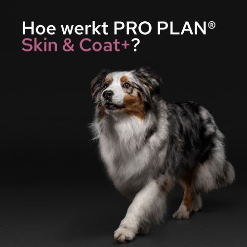 Purina Pro Plan Skin & Coat supplement voor honden (olie 250 ml)