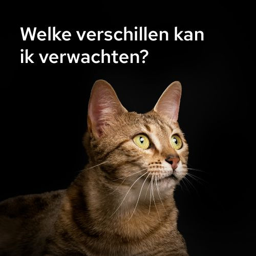 Purina Pro Plan Multivitamine voor katten (poeder 60 g)