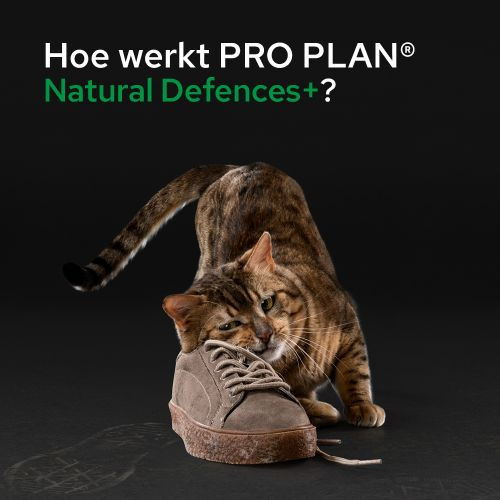 Purina Pro Plan Natural Defence supplement voor katten (poeder 60 g)