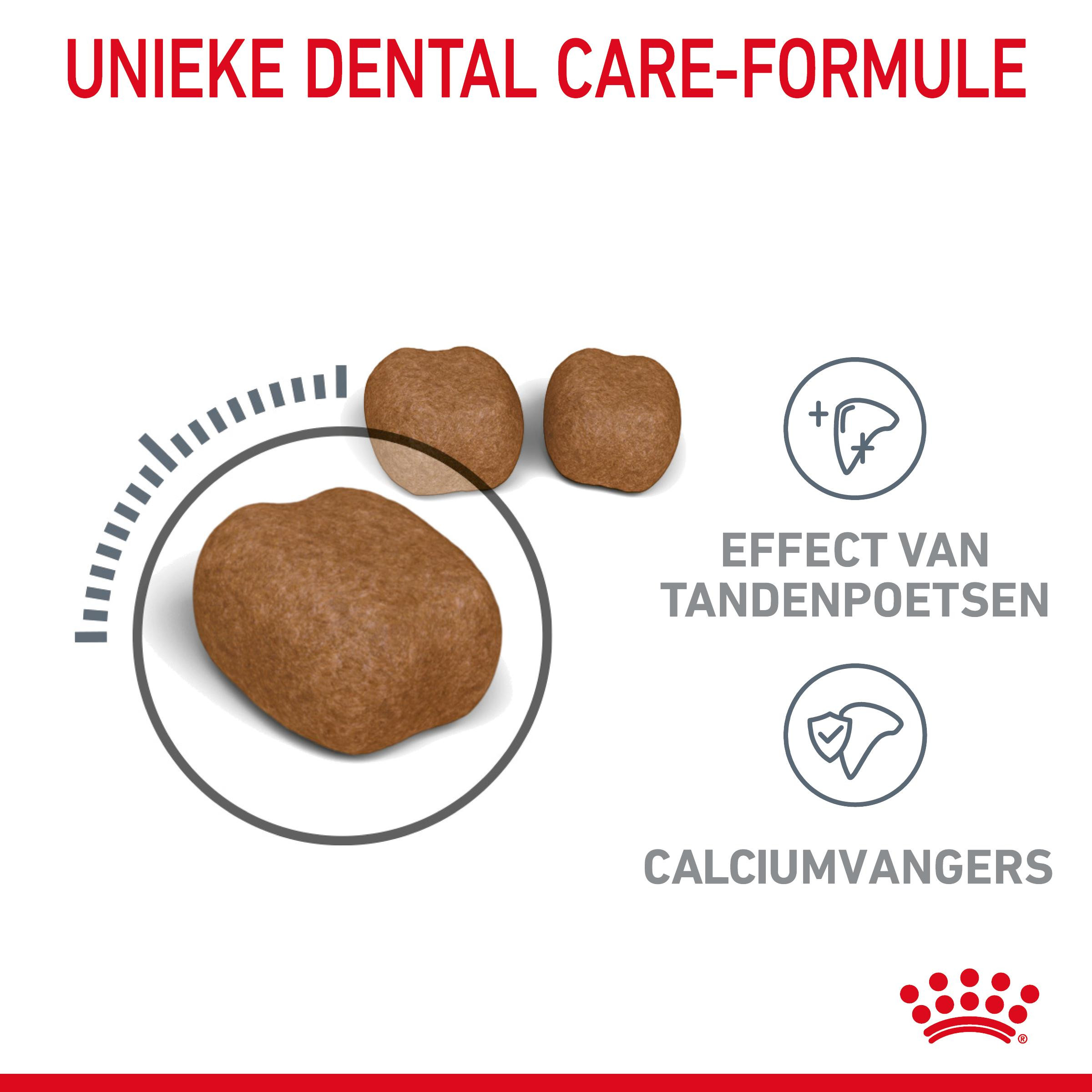 Royal Canin Dental Care kattenvoer