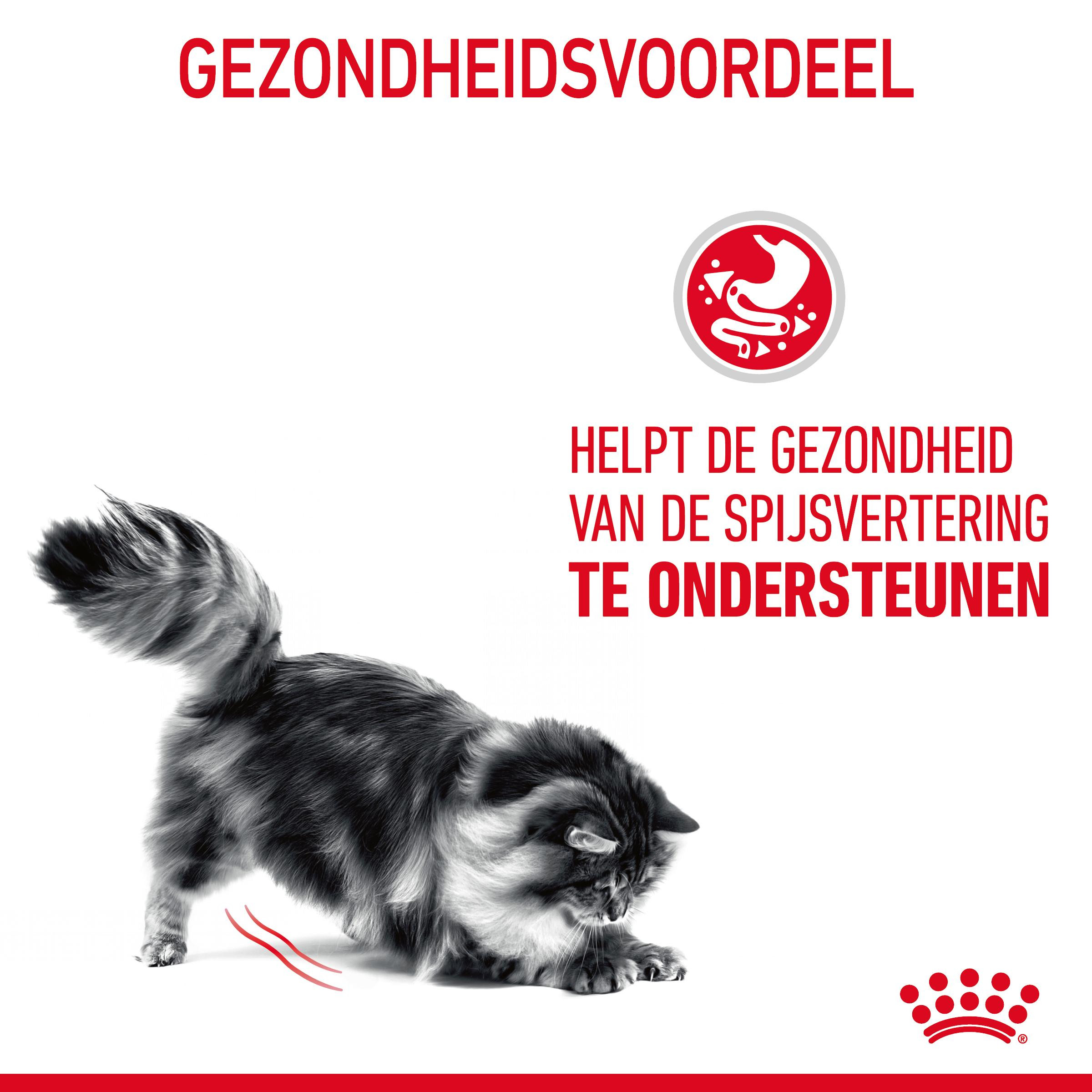 Royal Canin Digestive Care kattenvoer