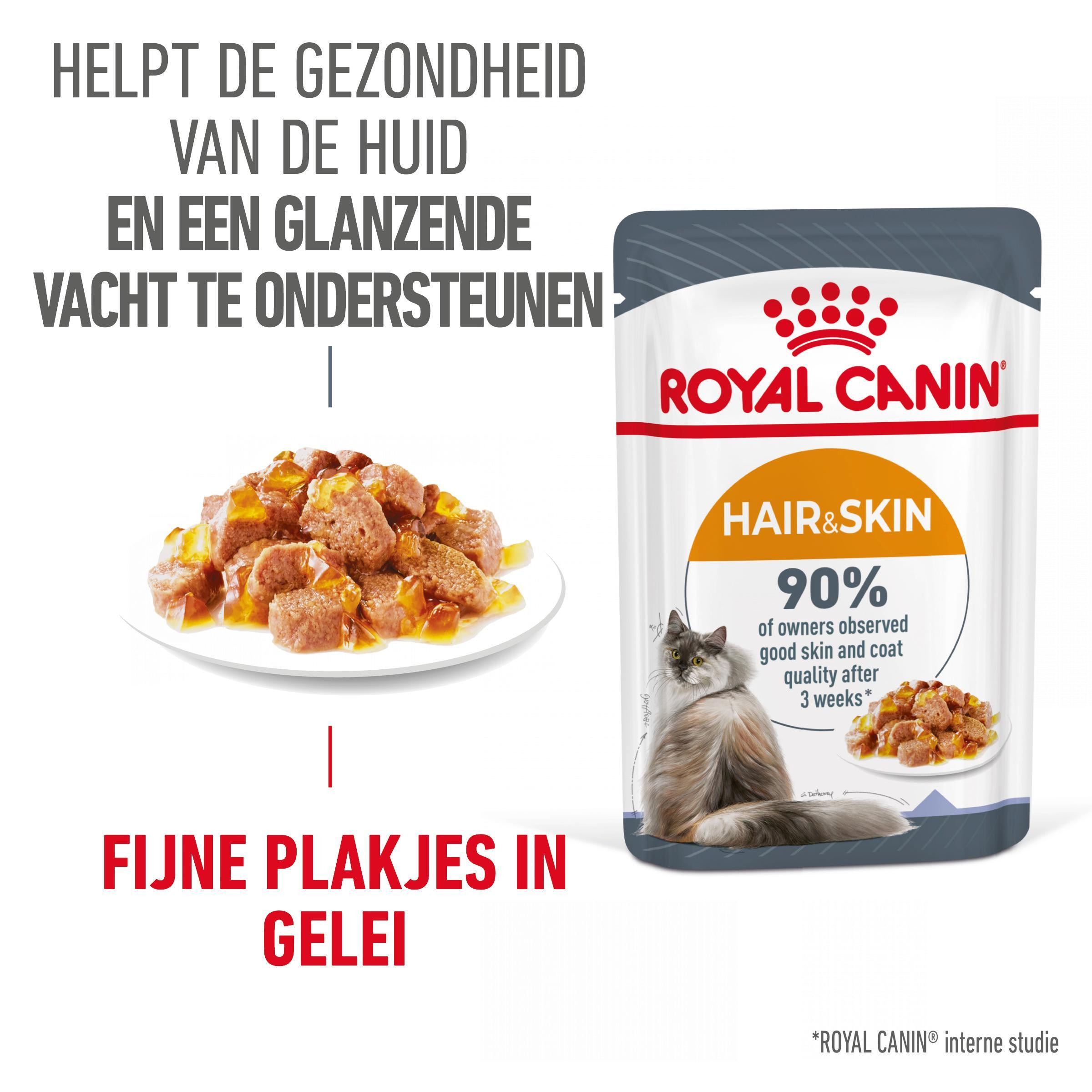 Royal Canin Hair & Skin Care in jelly natvoer kat (12x85 g)