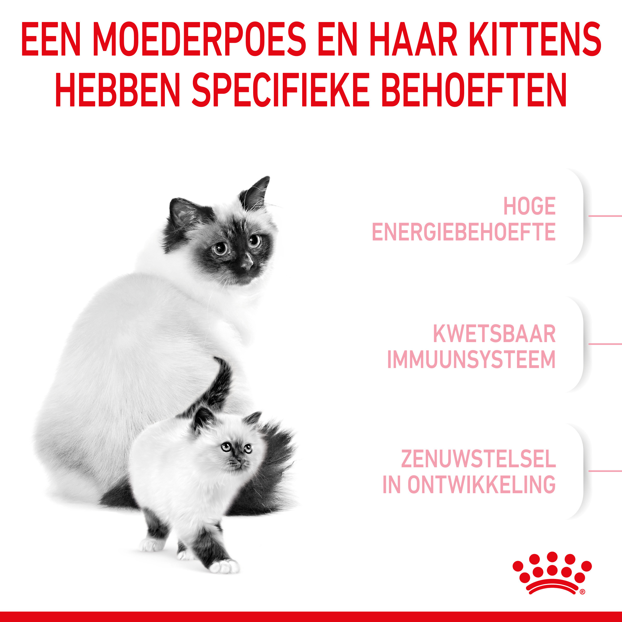 Royal Canin Mother & Babycat kattenvoer