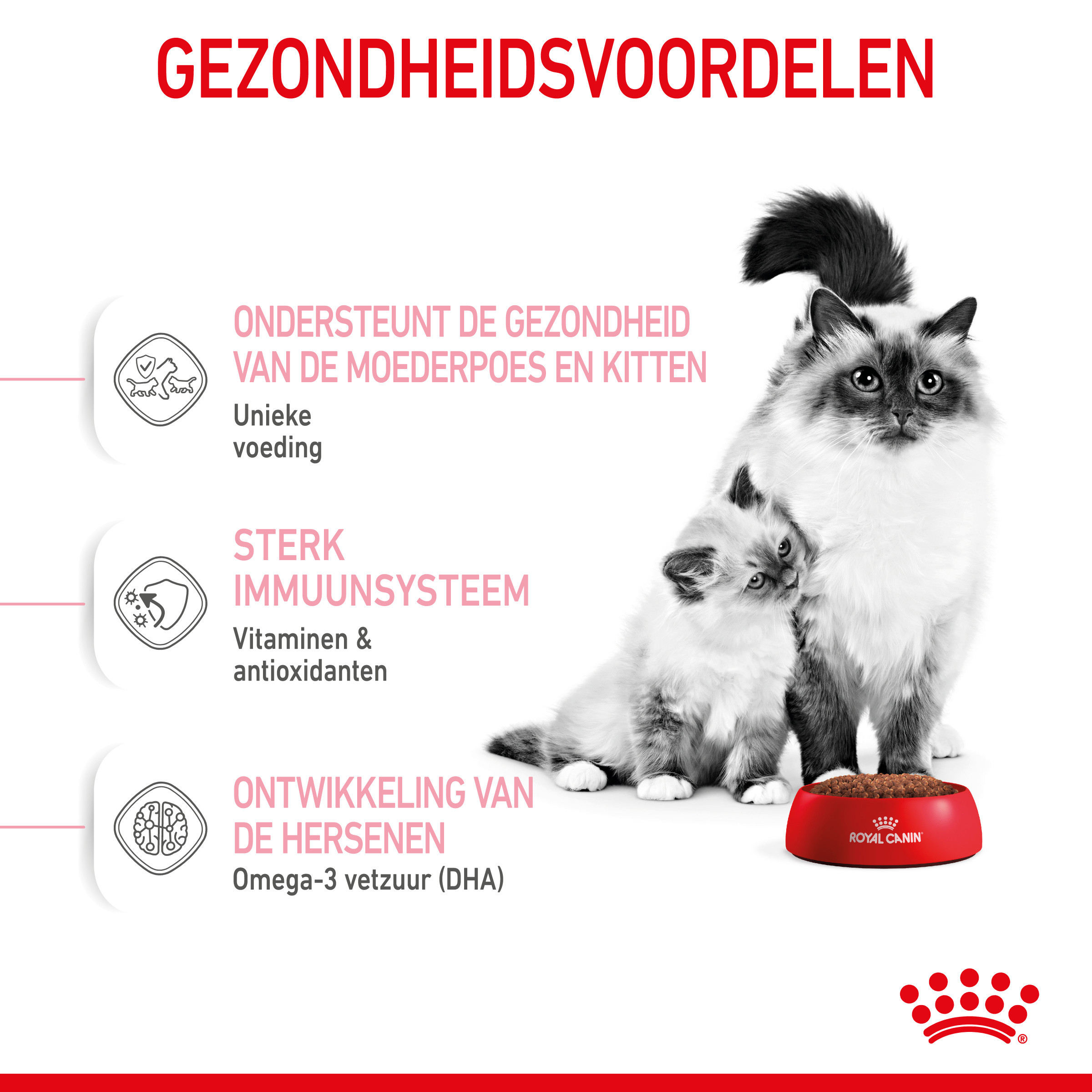 Royal Canin Mother & Babycat kattenvoer