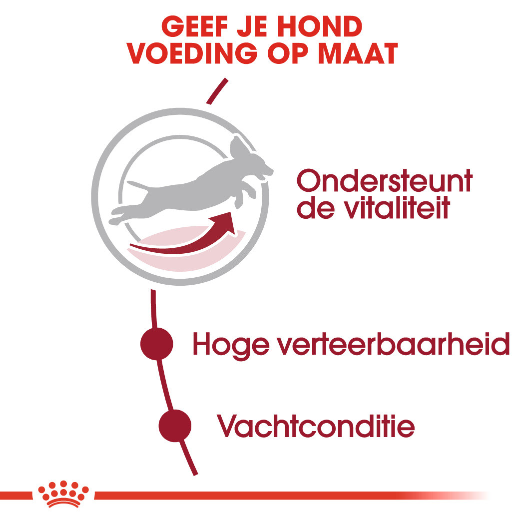 Royal Canin Medium Adult 7+ hondenvoer