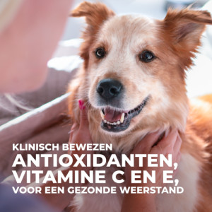 Hill's Adult Large Breed met lam & rijst hondenvoer