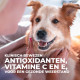 Hill's Adult Large Breed met lam & rijst hondenvoer