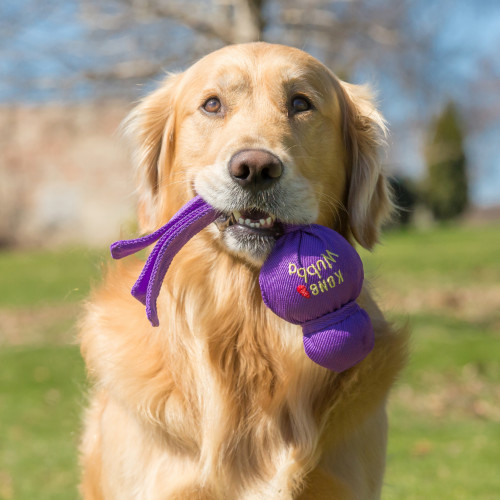 Kong Wubba XL voor de hond