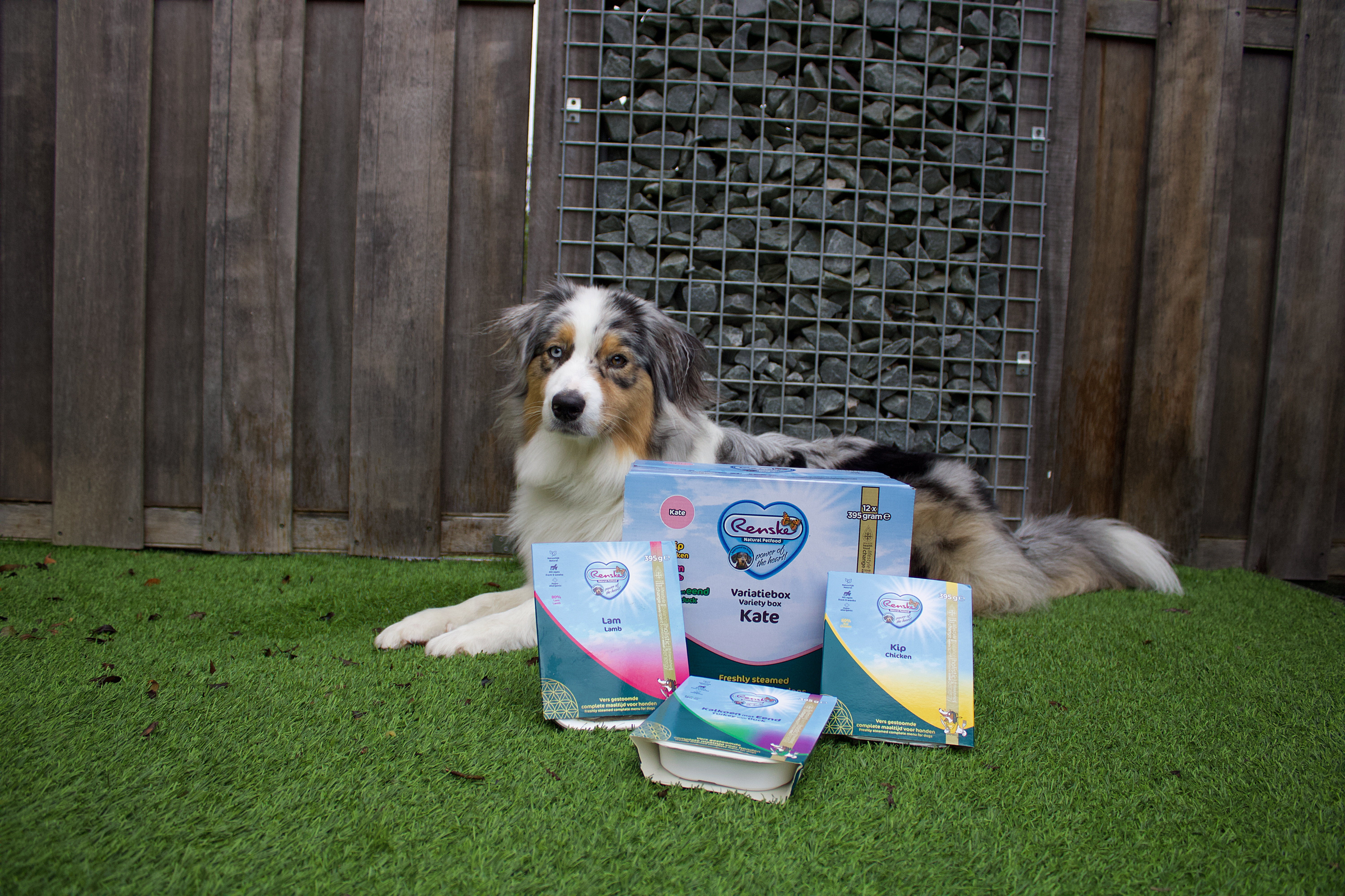 Renske Variatiebox Kate vers gestoomd natvoer hond (kuip)