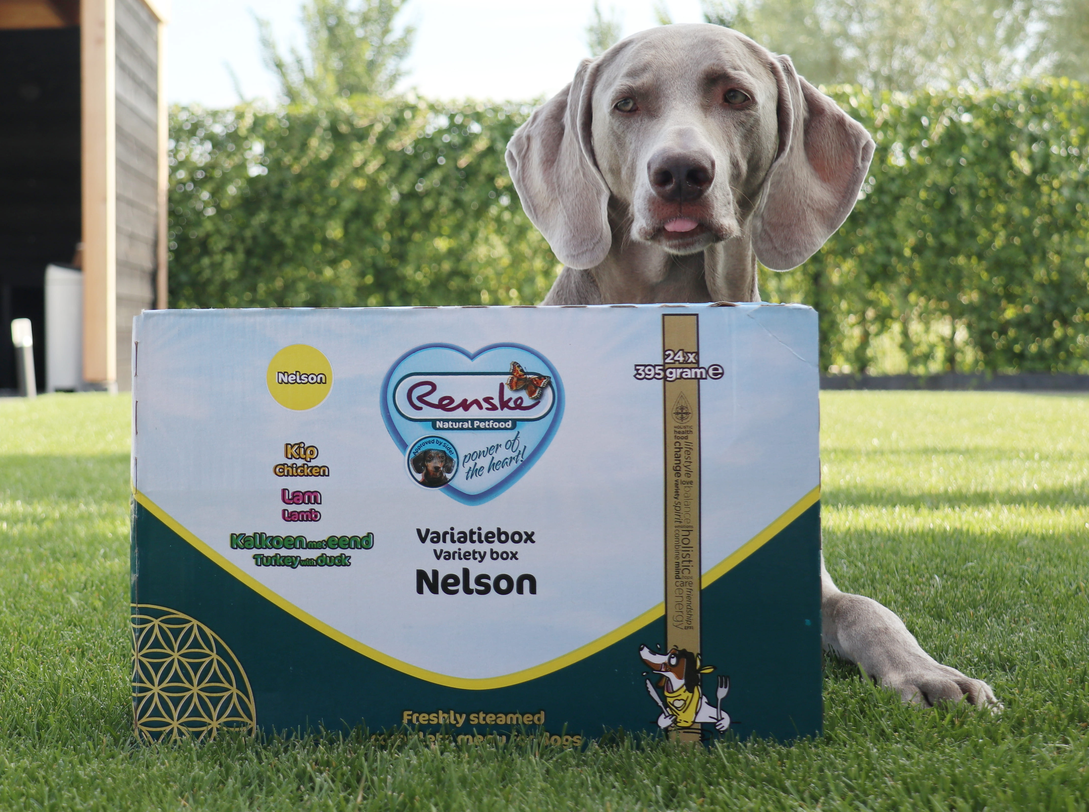 Renske Variatiebox Nelson vers gestoomd natvoer hond (kuip)