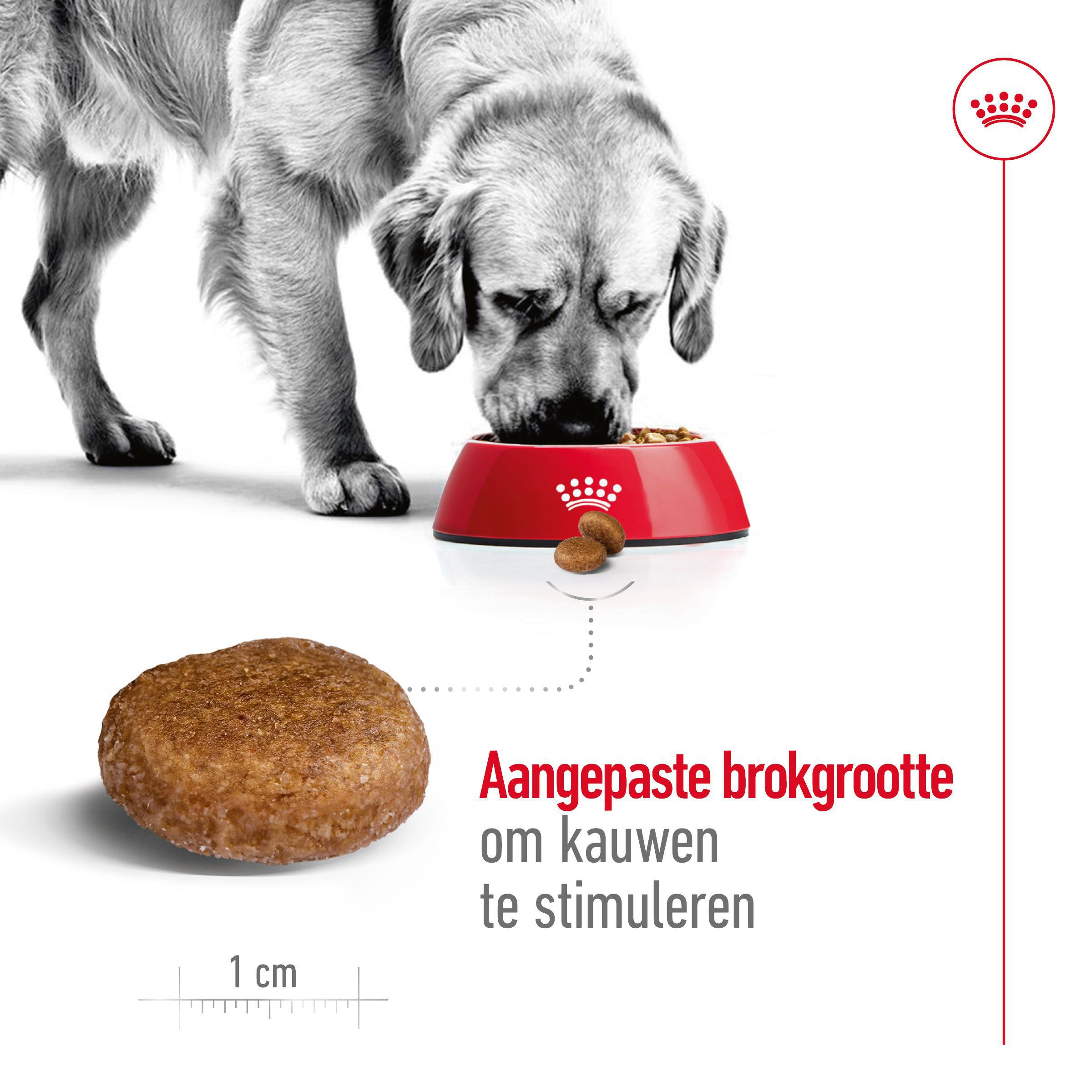 Royal Canin Maxi Adult 5+ Hondenvoer