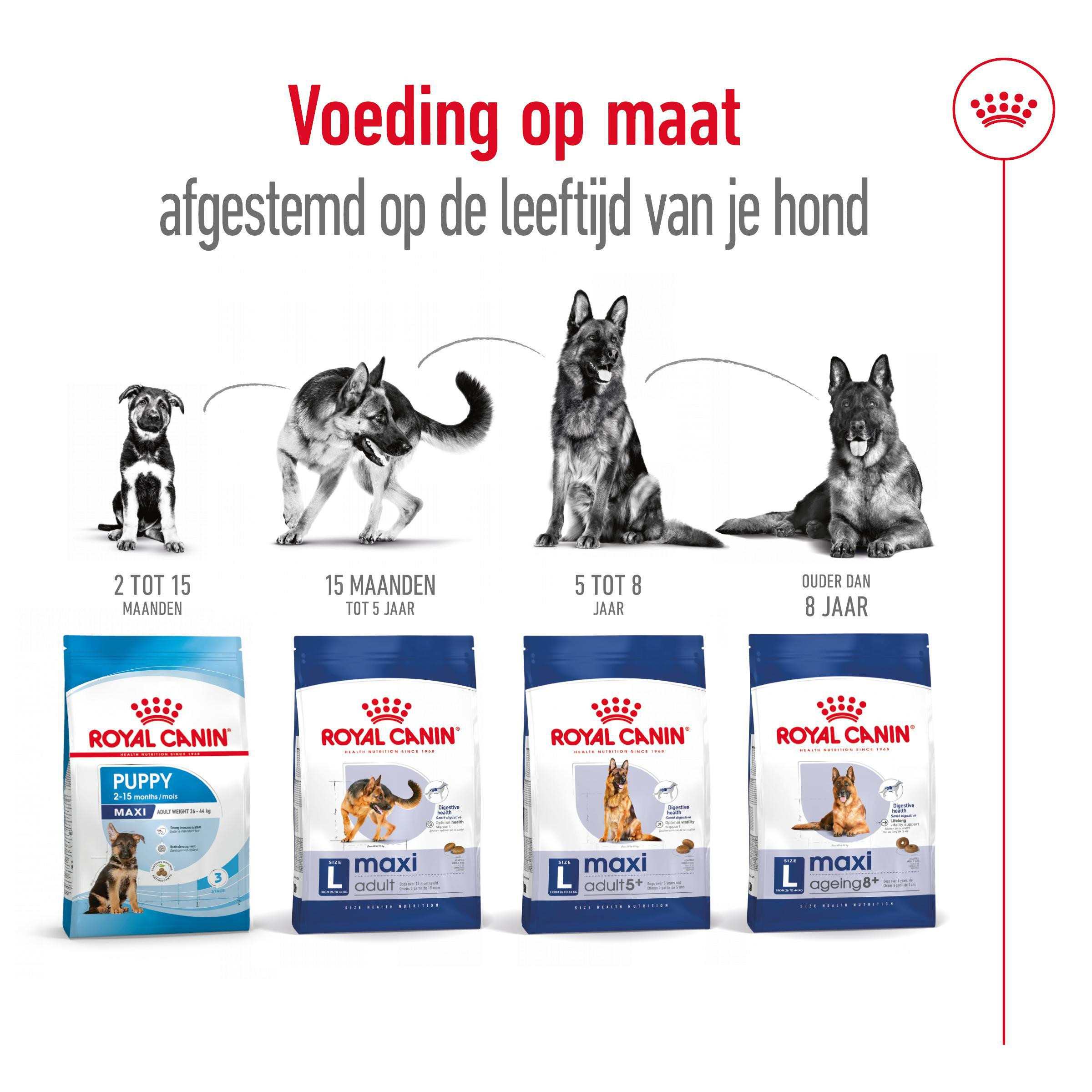 Royal Canin Maxi adult Hondenvoer