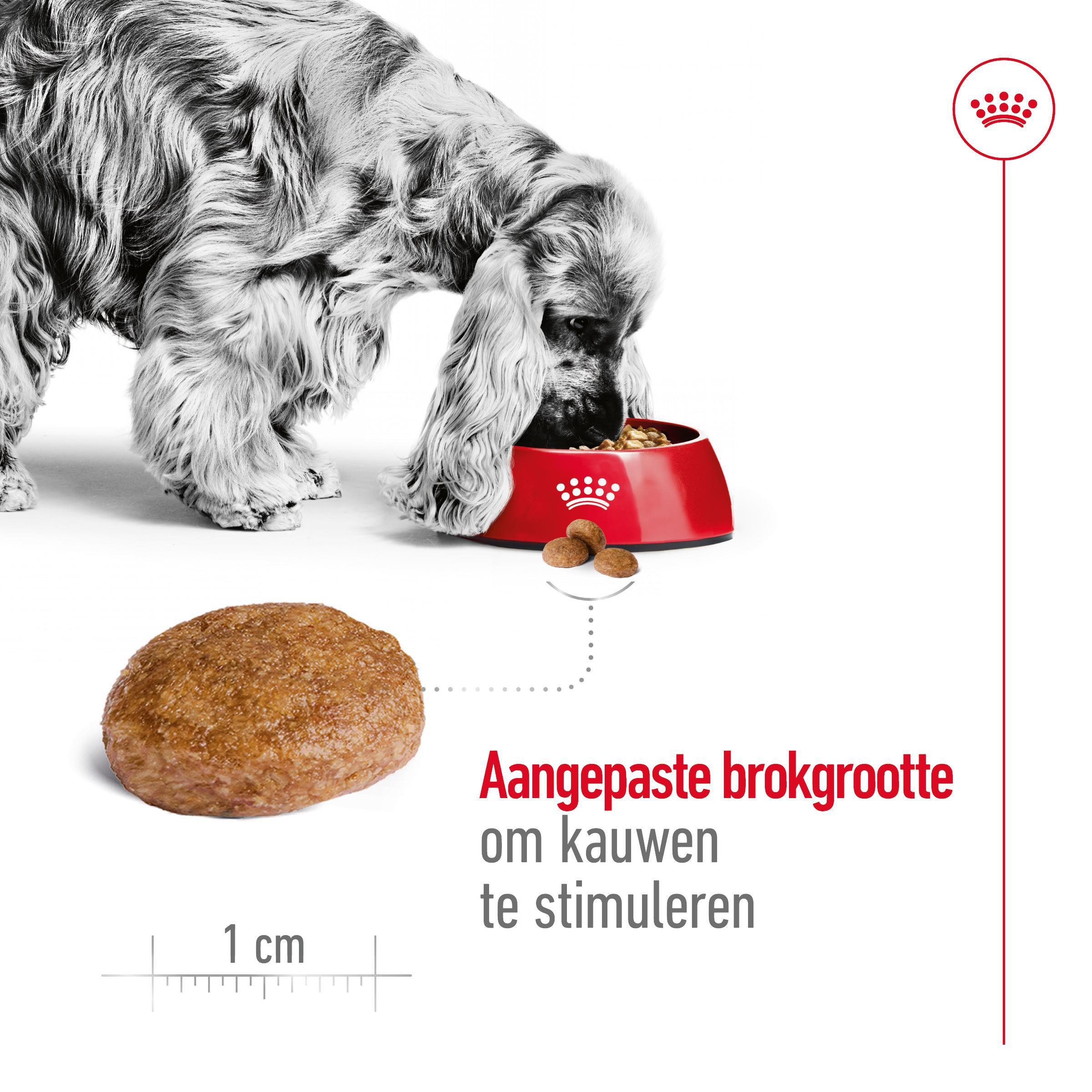 Royal Canin Medium Adult 7+ hondenvoer