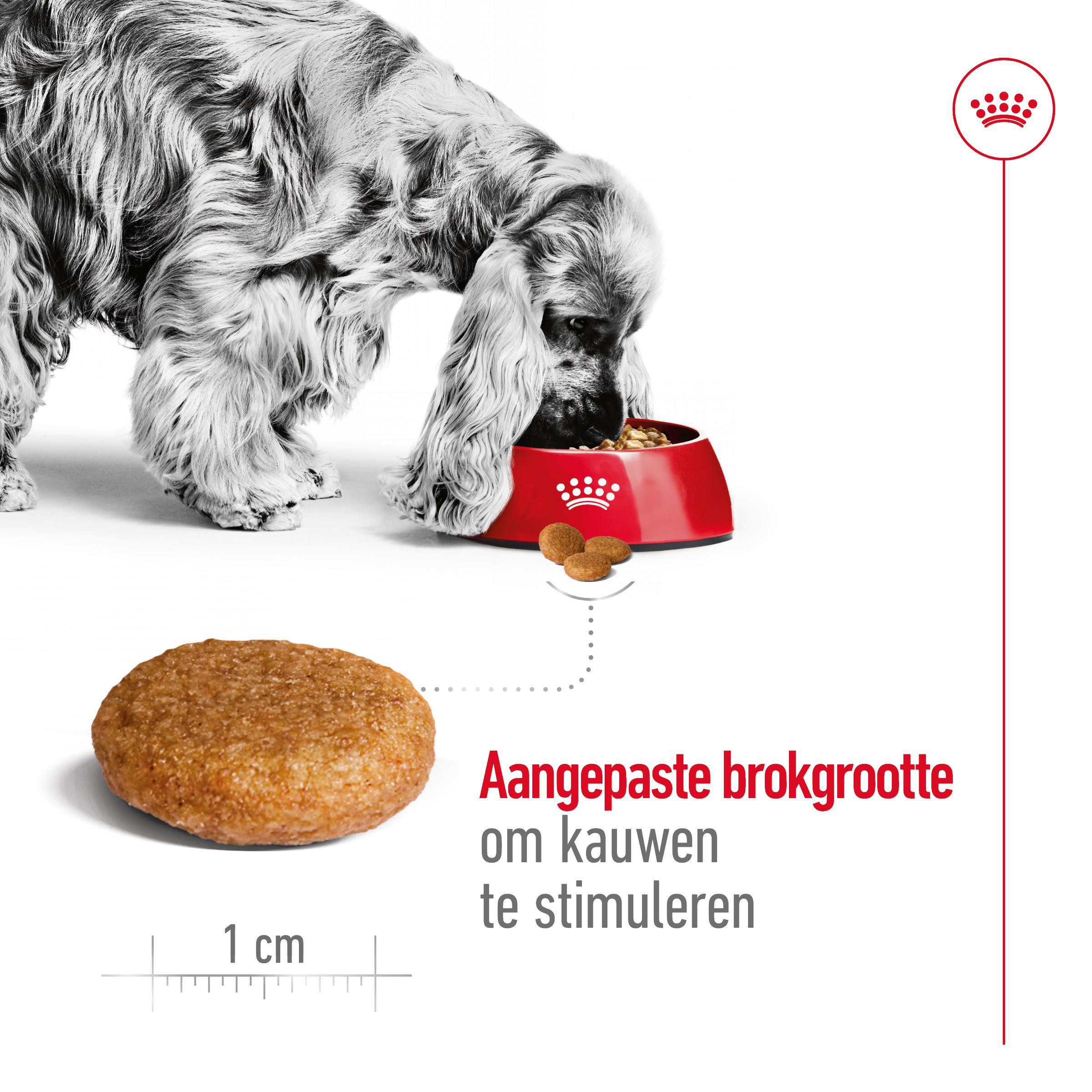 Royal Canin Medium Adult hondenvoer