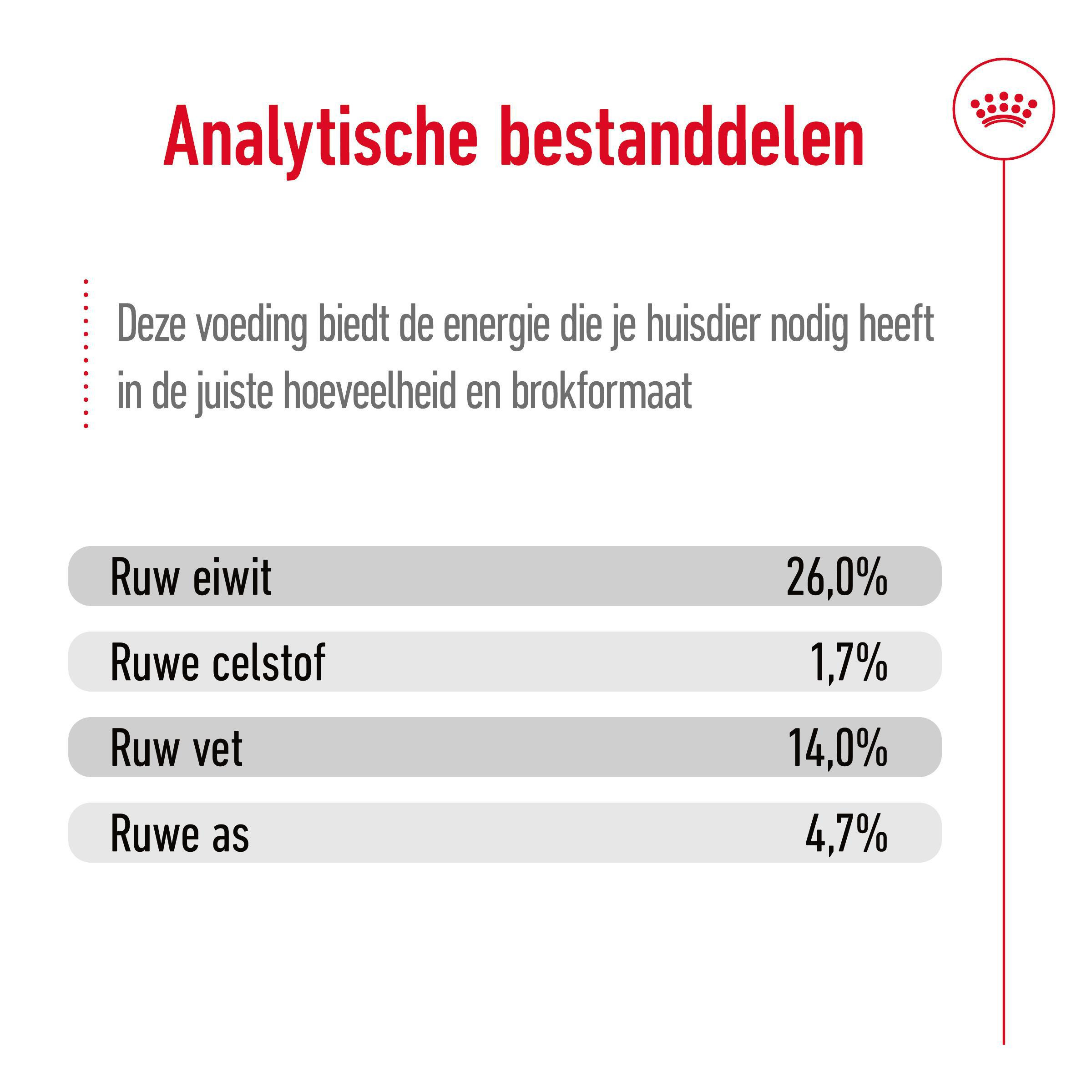 Royal Canin Medium Ageing 10+ hondenvoer