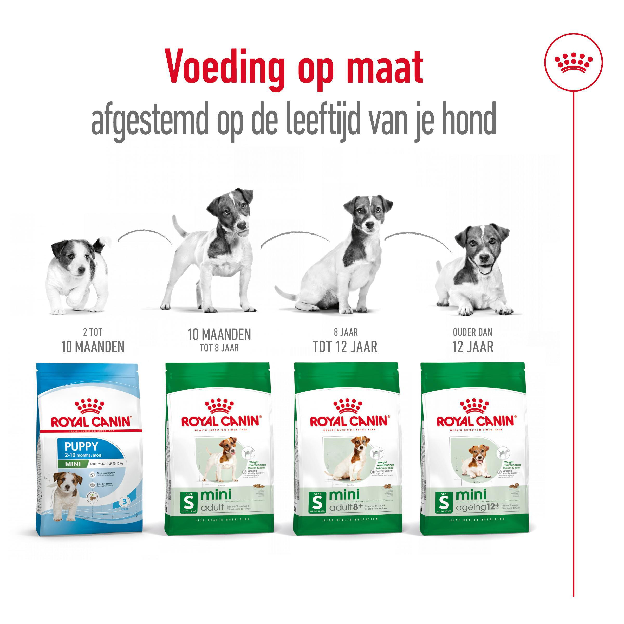 Royal Canin Mini Adult 8+ hondenvoer