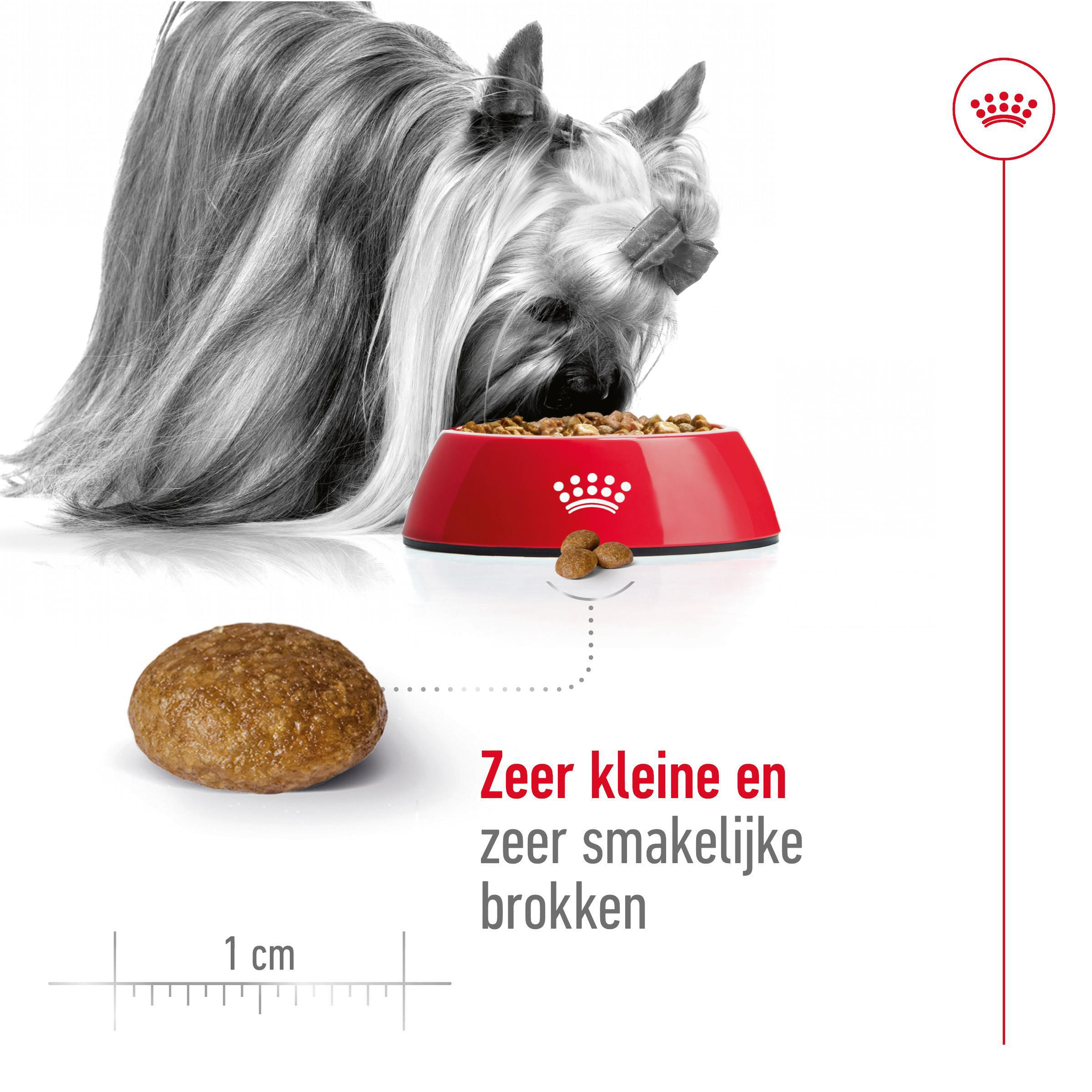 Royal Canin X-Small Adult 8+ hondenvoer